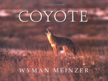 Coyote - Wyman Meinzer