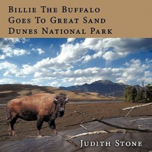 Billie the Buffalo Goes to Great Sand Dunes National Park - Judith Stone