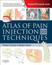 Atlas of Pain Injection Techniques - Therese C. O'Connor, Stephen E. Abram