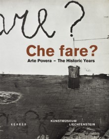 Che fare?: Arte Povera : The Historic Years - Friedemann Malsch, Friedemann Malsch, Christine Meyer-Stoll, Valantina Pro