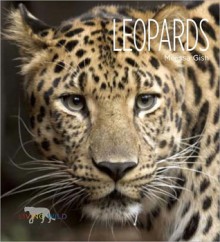 Leopards - Melissa Gish