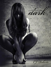 Captive in the Dark - C.J. Roberts