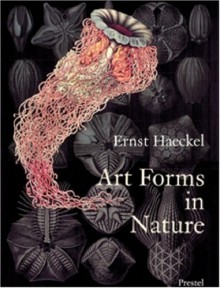 Art Forms in Nature: The Prints of Ernst Haeckel (Monographs) - 'Ernst Haeckel', 'Olaf Breidbach', 'Richard Hartmann', 'Irenaeus Eibl-Eibesfeldt'