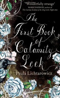 The First Book of Calamity Leek - Paula Lichtarowicz