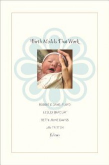 Birth Models That Work - Robbie E Davis-Floyd, Lesley Barclay, Jan Tritten, Betty-Anne Daviss