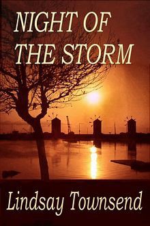 Night of the Storm - Lindsay Townsend