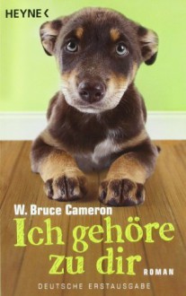 Ich gehöre zu dir: Roman von W. Bruce Cameron (2011) Taschenbuch - W. Bruce Cameron