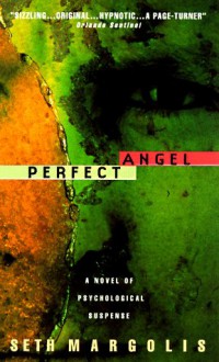 Perfect Angel - Seth J. Margolis