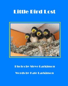 Little Bird Lost: A Rhyming Picture Story - Steve Larkinson, Kate Larkinson, Steve Larkinson