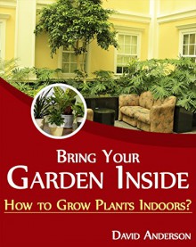 Bring Your Garden Inside: How to Grow Plants Indoors? - David Anderson