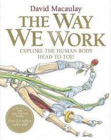 The Way We Work - David Macaulay