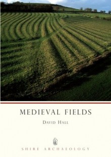 Medieval Fields - David Hall