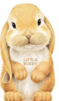 Little Bunny - Giovanni Caviezel