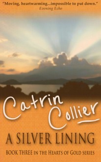 A Silver Lining - Catrin Collier