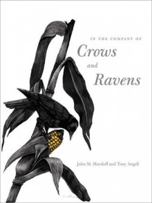 In The Company Of Crows And Ravens - John M. Marzluff, Tony Angell, Paul R. Ehrlich