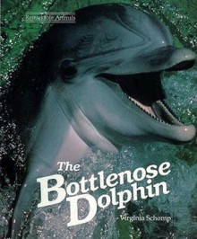 The Bottlenose Dolphin - Virginia Schomp