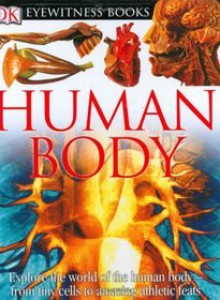 Human Body (DK Eyewitness) - Steve Parker