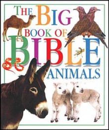 DK Pack: Big Book of Bible Animals/Bible Food Fun/God Made Me - Tyndale Kids