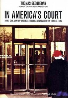 In America's Court: How a Civil Lawyer Who Likes to Settle Stumbled into a Criminal Trial - Thomas Geoghegan