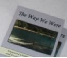 The Way We Were - Andria D. Flax