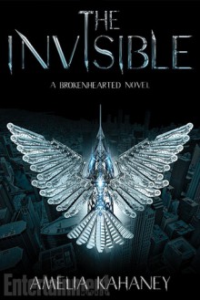 The Invisible (Audio) - Amelia Kahaney