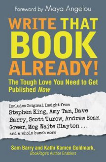 Write That Book Already!: The Tough Love You Need to Get Published Now - Sam Barry, Kathi Kamen