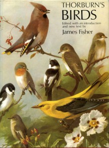 Thorburn's Birds - James Fisher, Archibald Thorburn