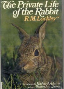 The Private Life Of The Rabbit; An Account Of The Life History And Social Behavior Of The Wild Rabbit - Ronald Mathias Lockley, Richard Adams