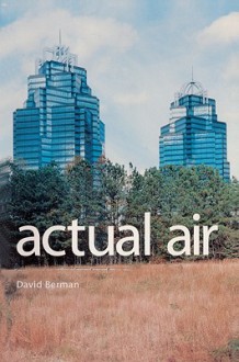 Actual Air - David Berman