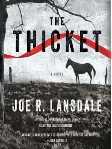 The Thicket - Joe R. Lansdale, Will Collyer