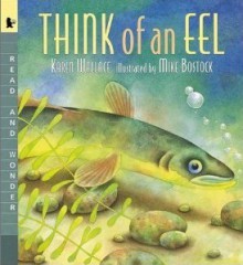 Think of an Eel: Read and Wonder (print) - Karen Wallace, Mike Bostock