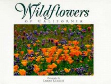 Wildflowers of California: Twenty Postcards - Larry Ulrich, Susan Lamb