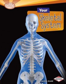 Your Skeletal System (Searchlight Books) - Caroline Arnold