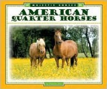 American Quarter Horses - Pamela Dell