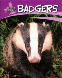 Badgers (British Wildlife) - Sally Morgan