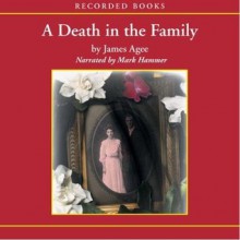 A Death In The Family - James Agee, Mark Hammer