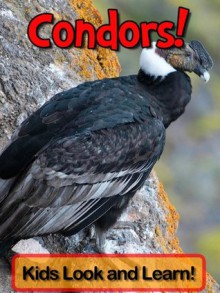 Condors! Learn About Condors and Enjoy Colorful Pictures - Look and Learn! (50+ Photos of Condors) - Becky Wolff