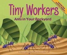 Tiny Workers: Ants In Your Backyard (Backyard Bugs) - Nancy Loewen