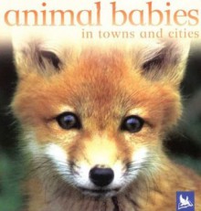 Animal Babies in Towns and Cities - Kingfisher, Kingfisher