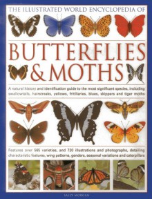 The Illustrated World Encyclopedia of Butterflies and Moths: A Natural History and Identification Guide - Sally Morgan