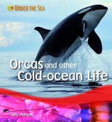 Orcas And Other Cold Ocean Life (Under The Sea) - Sally Morgan