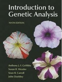 Introduction to Genetic Analysis (Loose Leaf) (Budget Books) - Anthony J.F. Griffiths, Susan R. Wessler, John Doebley, Sean B. Carroll