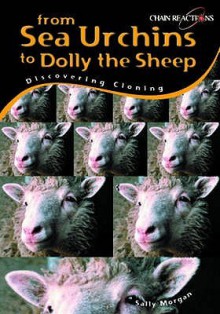 From Sea Urchins to Dolly the Sheep: Discovering Cloning (Chain Reactions) - Sally Morgan