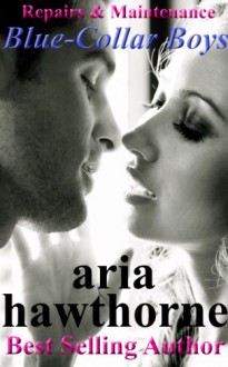 Blue-Collar Boys - Repairs & Maintenance - Aria Hawthorne