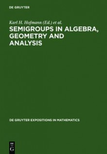 Semigroups In Algebra, Geometry, And Analysis - Karl Heinrich Hofmann, Jimmie D. Lawson