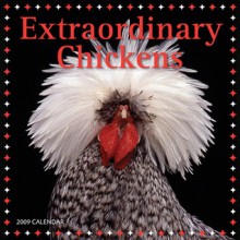 NOT A BOOK: Extraordinary Chickens 2009 Wall Calendar - NOT A BOOK