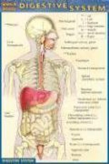 Digestive System (Quickstudy) - Inc. BarCharts