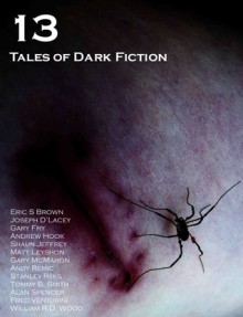 13: Tales of Dark Fiction - Adam Bradley, Eric S. Brown, Gary McMahon, Alan Spencer