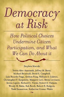 Democracy at Risk: How Political Choices Undermine Citizen Participation, and What We Can Do about It - Stephen Macedo, Jeffrey M. Berry