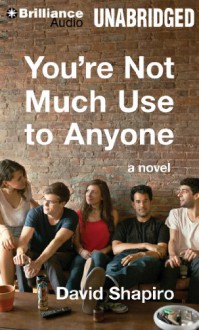 You're Not Much Use to Anyone - David Shapiro